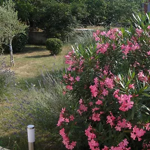 https://adriana-holiday-apartment.in-istria.net
